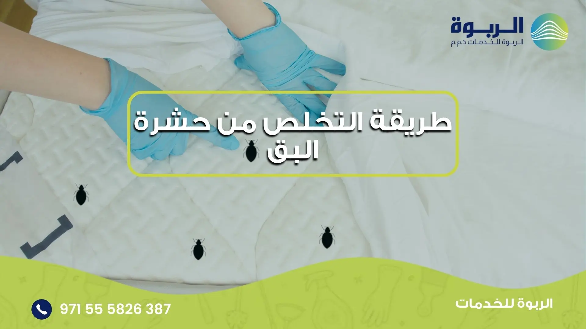 طريقة التخلص من حشرة البق