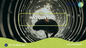 Rat Control