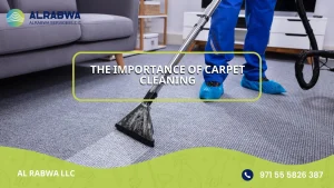 The Importance of Carpet Cleaning