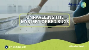Unraveling the Mystery of Bed bugs