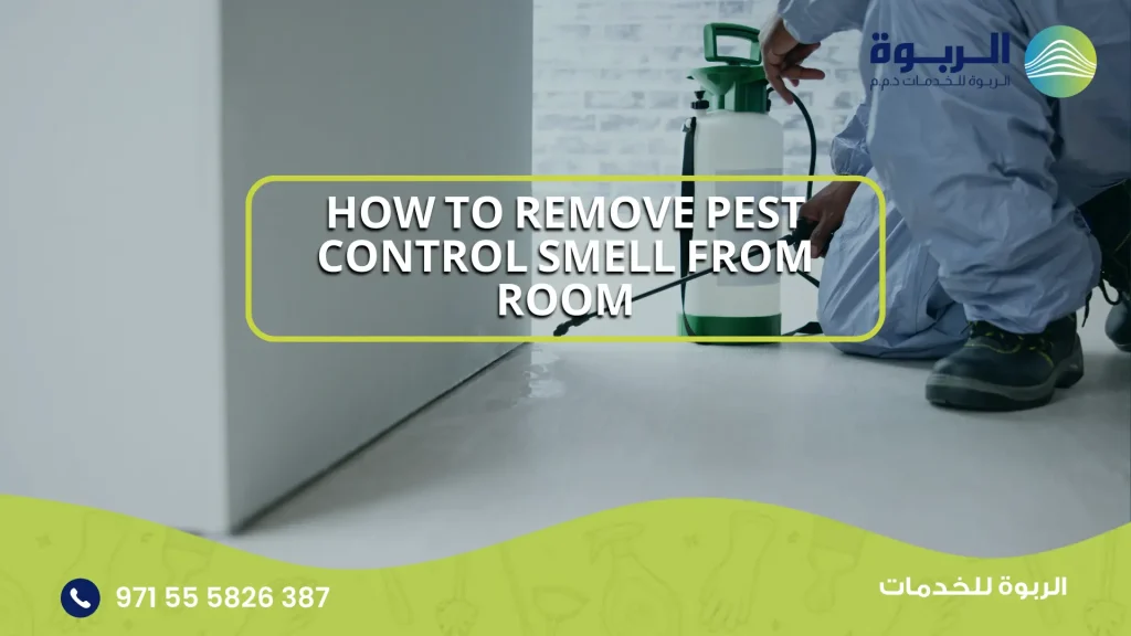remove pest control smell from room
