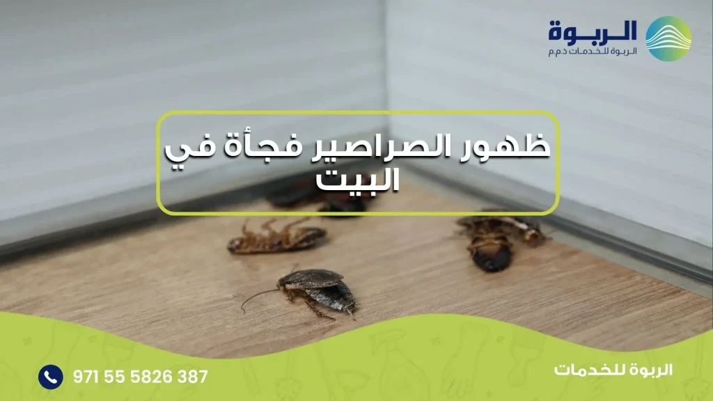 ظهور الصراصير فجأة في البيت