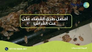 طرق القضاء على عث الفراش