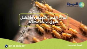 انواع النمل الابيض