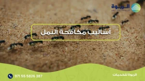 أساليب مكافحة النمل