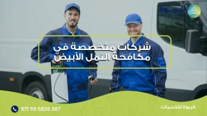 شركات متخصصة في مكافحة النمل الأبيض