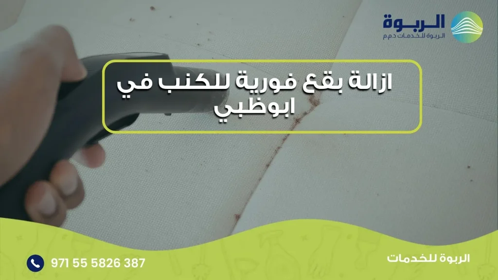 ازالة بقع فورية للكنب في ابوظبي