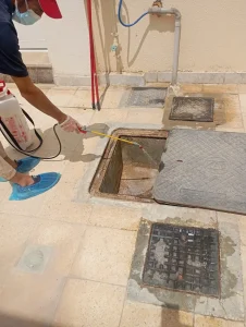 مكافحة الحشرات في ابو ظبي