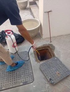 مكافحة الفئران