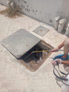 مكافحة الحشرات في ابو ظبي