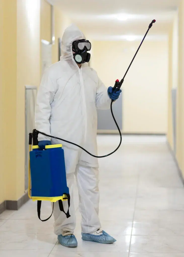 الربوة لخدمات التنظيف ومكافحة الحشرات