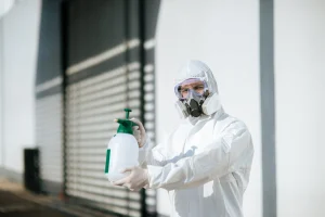Pest Control Abu Dhabi Services