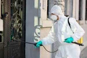 Pest Control Abu Dhabi Services