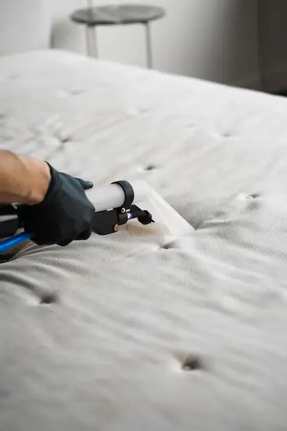 Mattress Cleaning Service abu dhabi