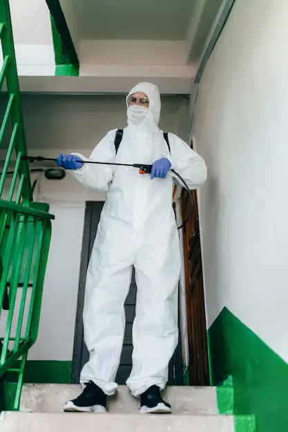 Cockroach Pest Control Abu Dhabi