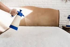 Mattress Cleaning Service
abu dhabi