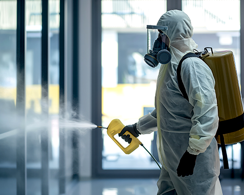 مكافحة بق الفراش