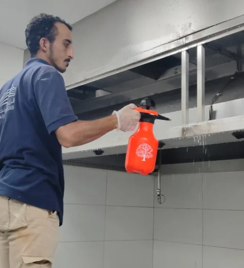 التنظيف المنزلي في ابوظبي