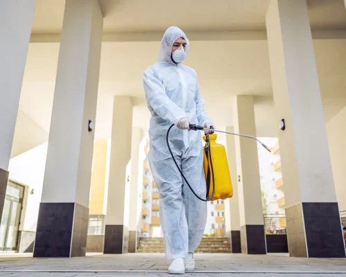 مكافحة الحمام والطيور
في ابوظبي