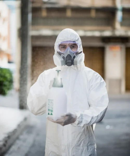 Flying Insect Control Abu Dhabi