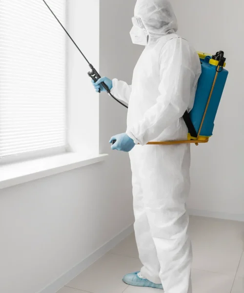 Pest Control Abu Dhabi Services