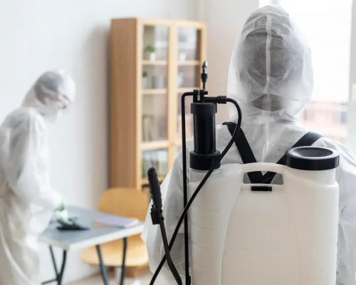 ابادة الحشرات