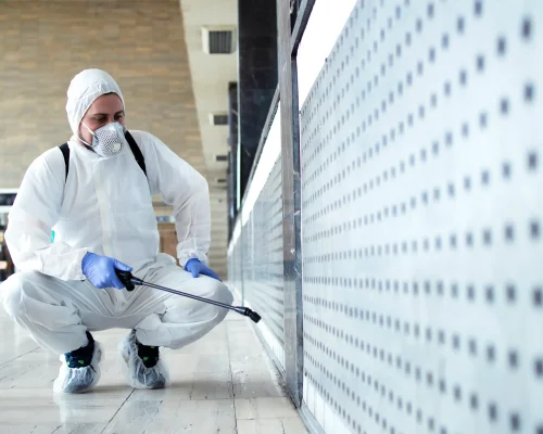 Pest Control Abu Dhabi Services