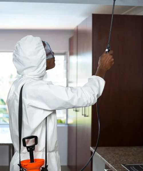 Pest Control Abu Dhabi Services