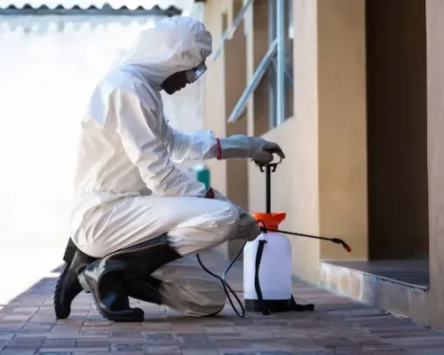 Ant Control Services in Abu Dhabi